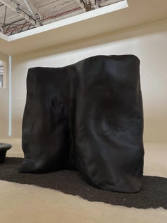 Contemporary Organic Form Organic Plain Black Fiberglass Screen by kar