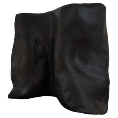 Contemporary Organic Form Organic Plain Black Fiberglass Screen by kar