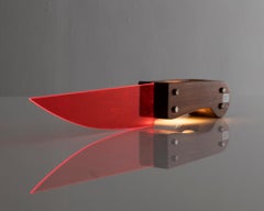 Knife Table Lamp in Walnut and Colored Plexiglass by Lapo Binazzi, 1975