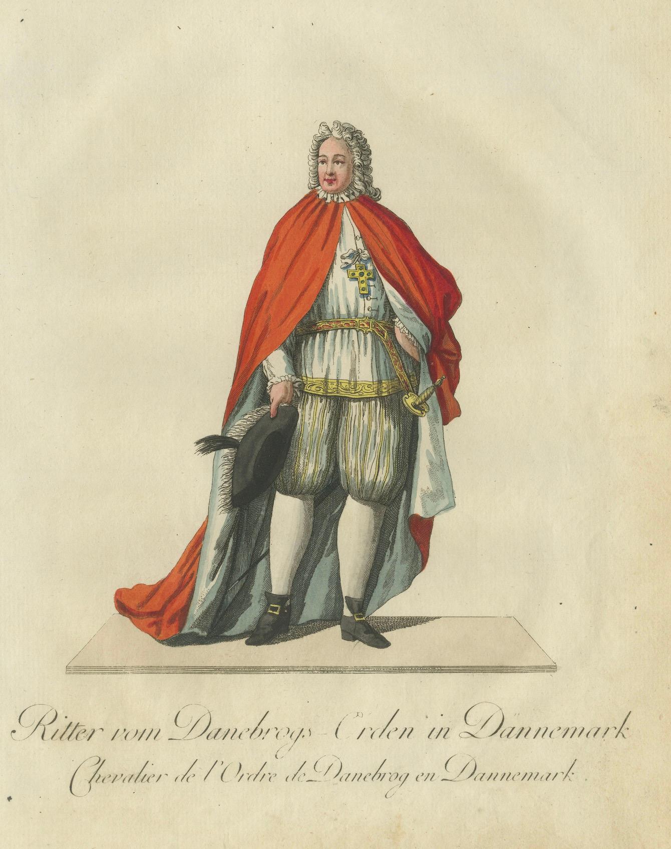 Caballero de la Orden de Dannebrog: Elegancia caballeresca danesa del siglo XVIII en Bueno estado para la venta en Langweer, NL