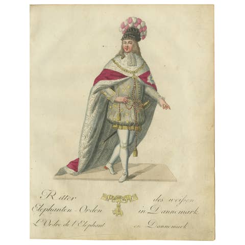 Knight of the Order of the Elephant: 18th-Century Danish Chivalric Elegance