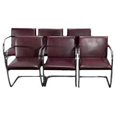 Knoll Lederstühle Brünnchen braun von Ludwig Mies van der Rohe, Sechser-Set