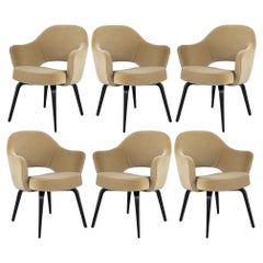 Knoll Saarinen Executive Arm Chairs in Sand Velvet & Ebony Oak Legs - Set of 6