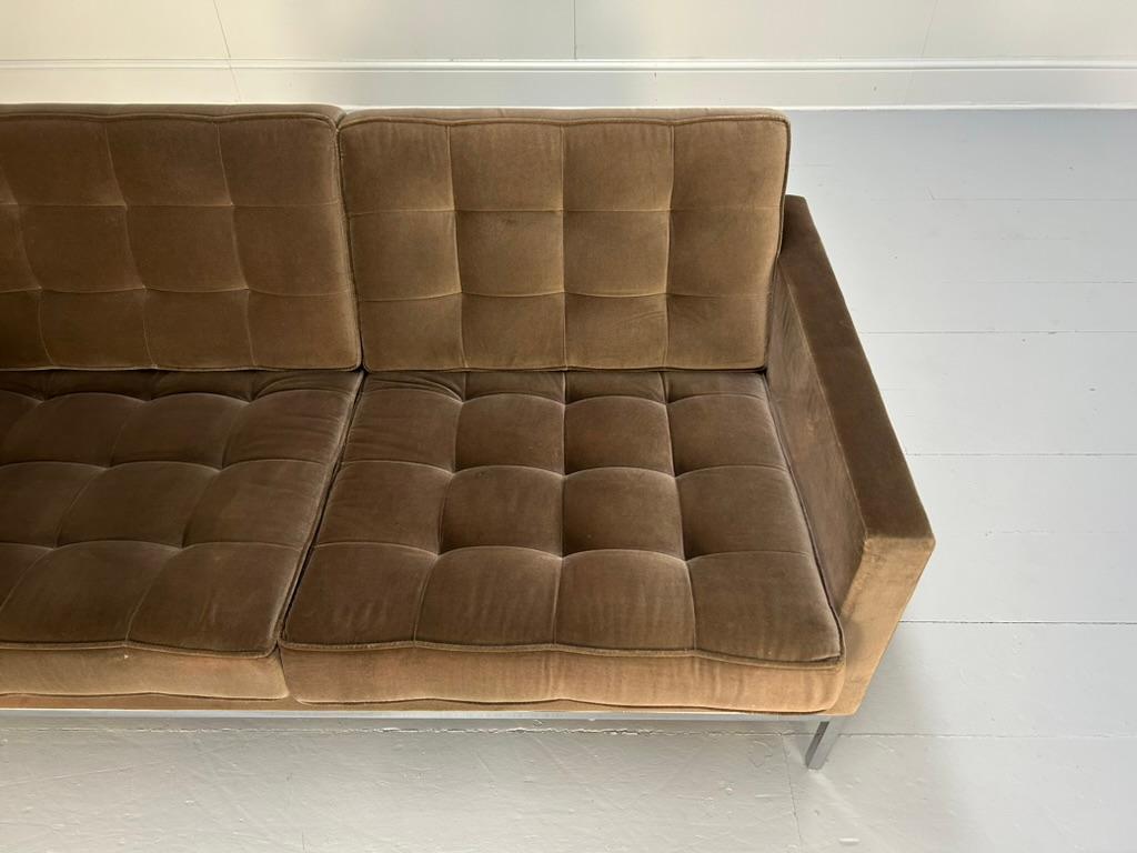 Knoll Studio 