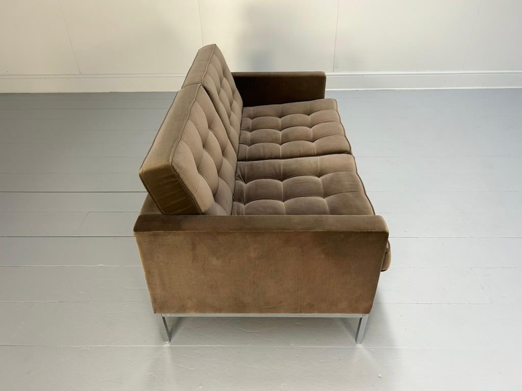 Knoll Studio 
