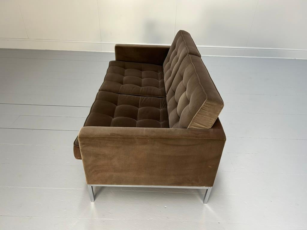 Knoll Studio 