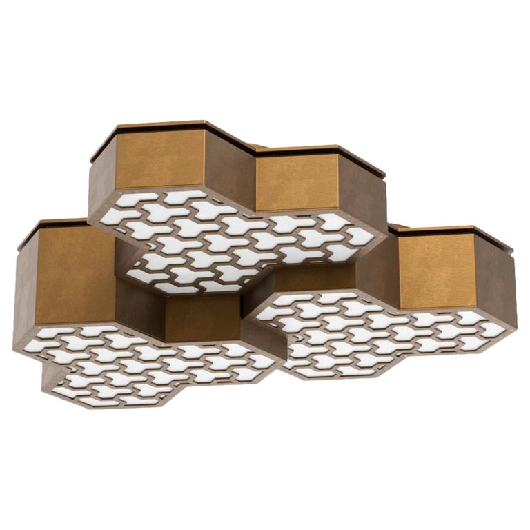 Knossos Light by David Duncan, Custom Flush Mount Unit with Brass Frame