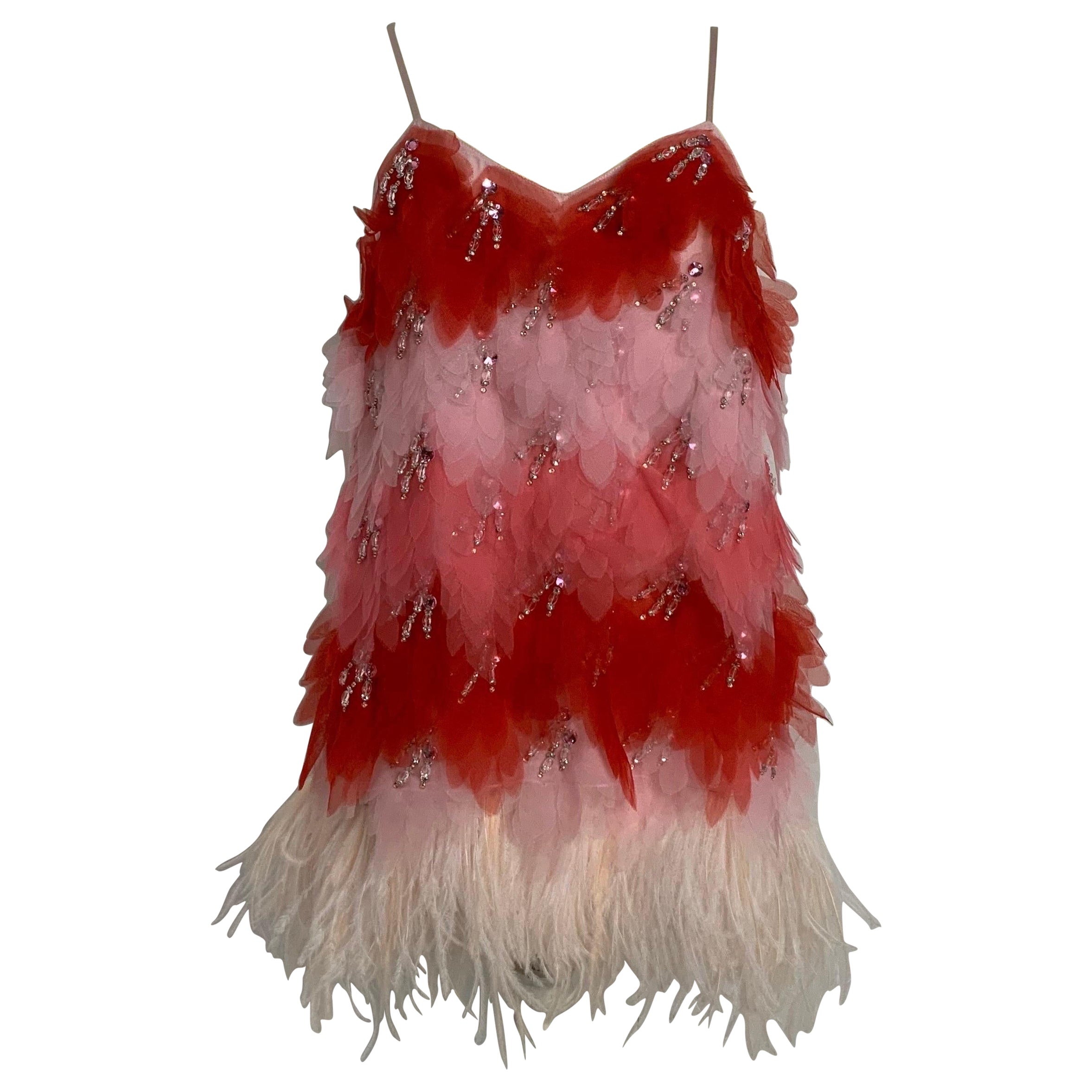 Kochè X Pucci Feather top