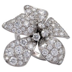 Cocktail Rings