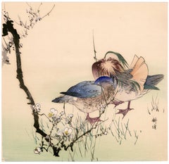 'Mandarin Ducks' — Japanese Woodblock Print, c. 1910