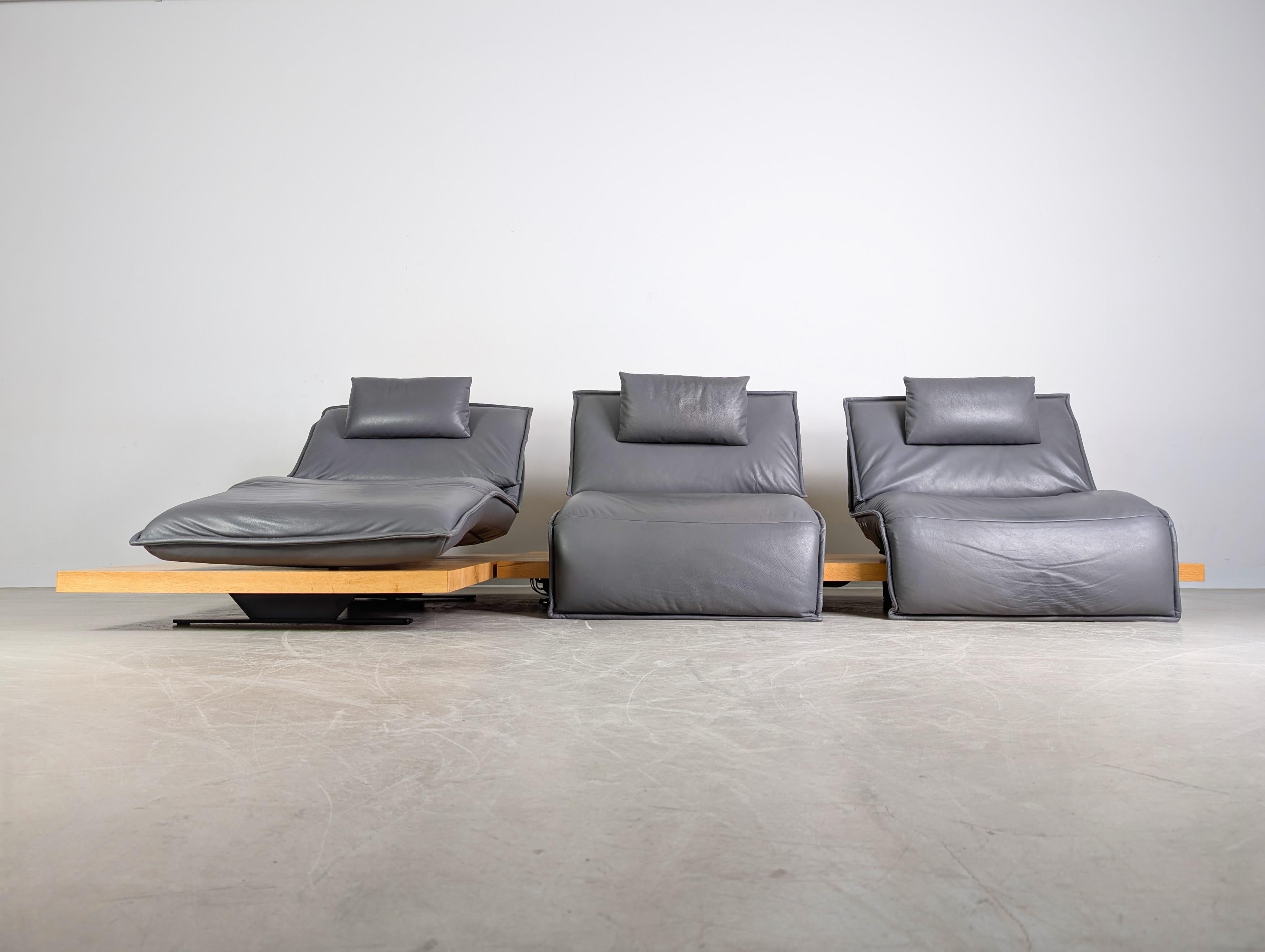 Koinor Free Motion Edit 2 Sofá Sofá Ecksofa Leder Balkeneiche Posmoderno en venta