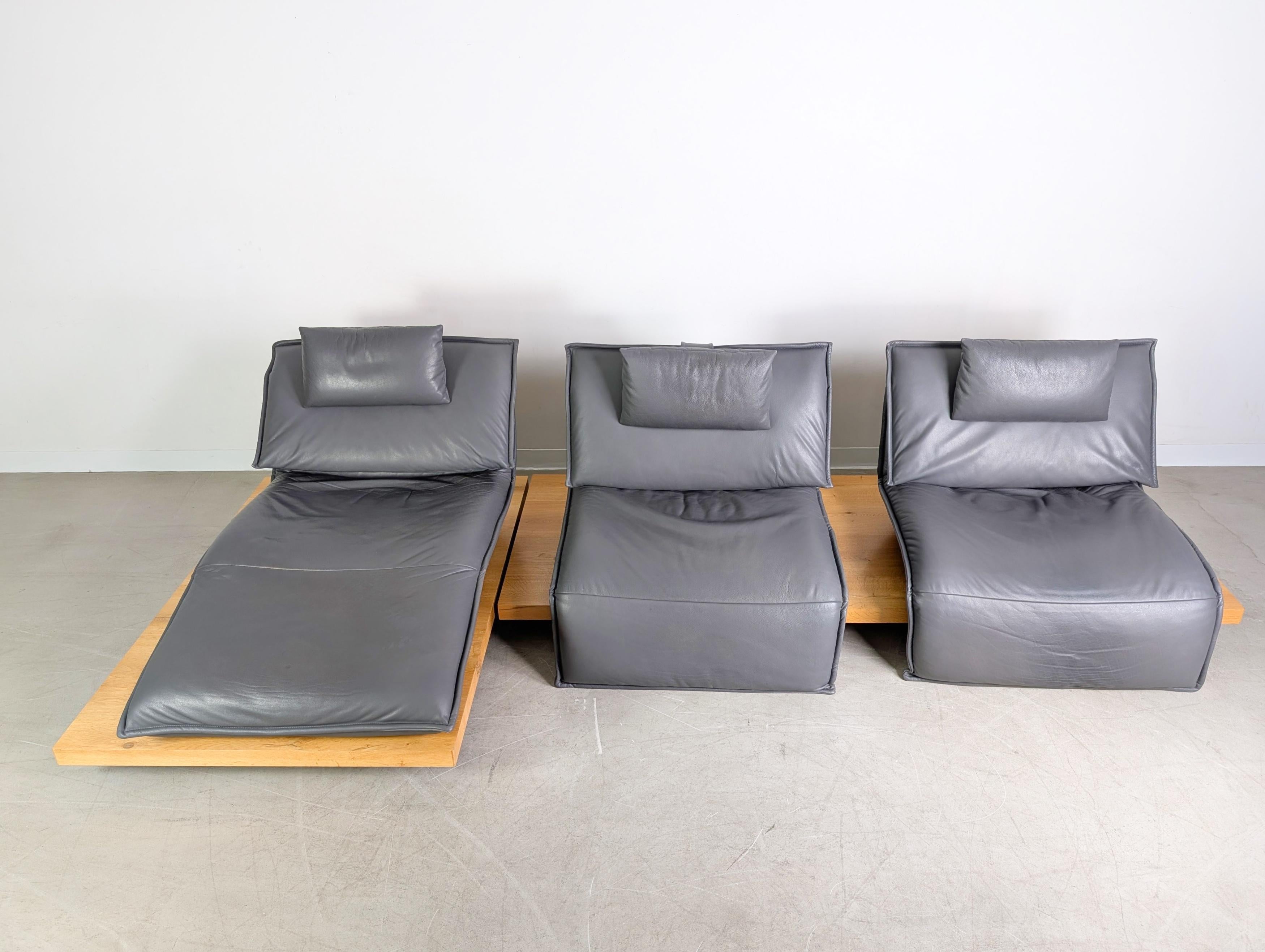 Koinor Free Motion Edit 2 Sofá Sofá Ecksofa Leder Balkeneiche Alemán en venta