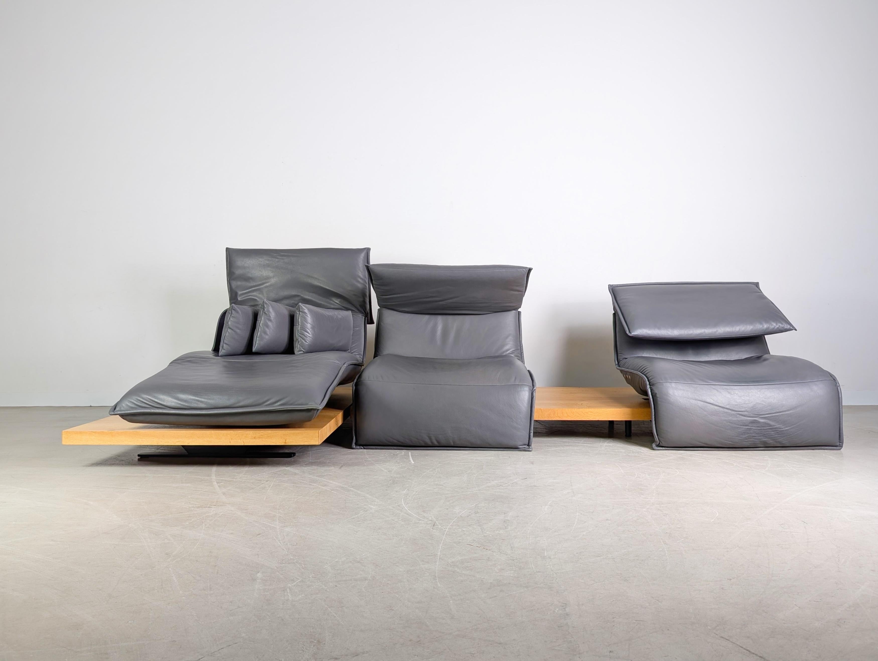 Koinor Free Motion Edit 2 Sofá Sofá Ecksofa Leder Balkeneiche Siglo XXI y contemporáneo en venta