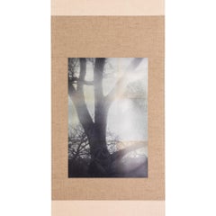 Japanese Contemporary Art by Kojun - Kensho 2825
