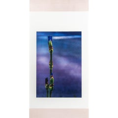 Japanese Contemporary Art by Kojun - Kensho 3048