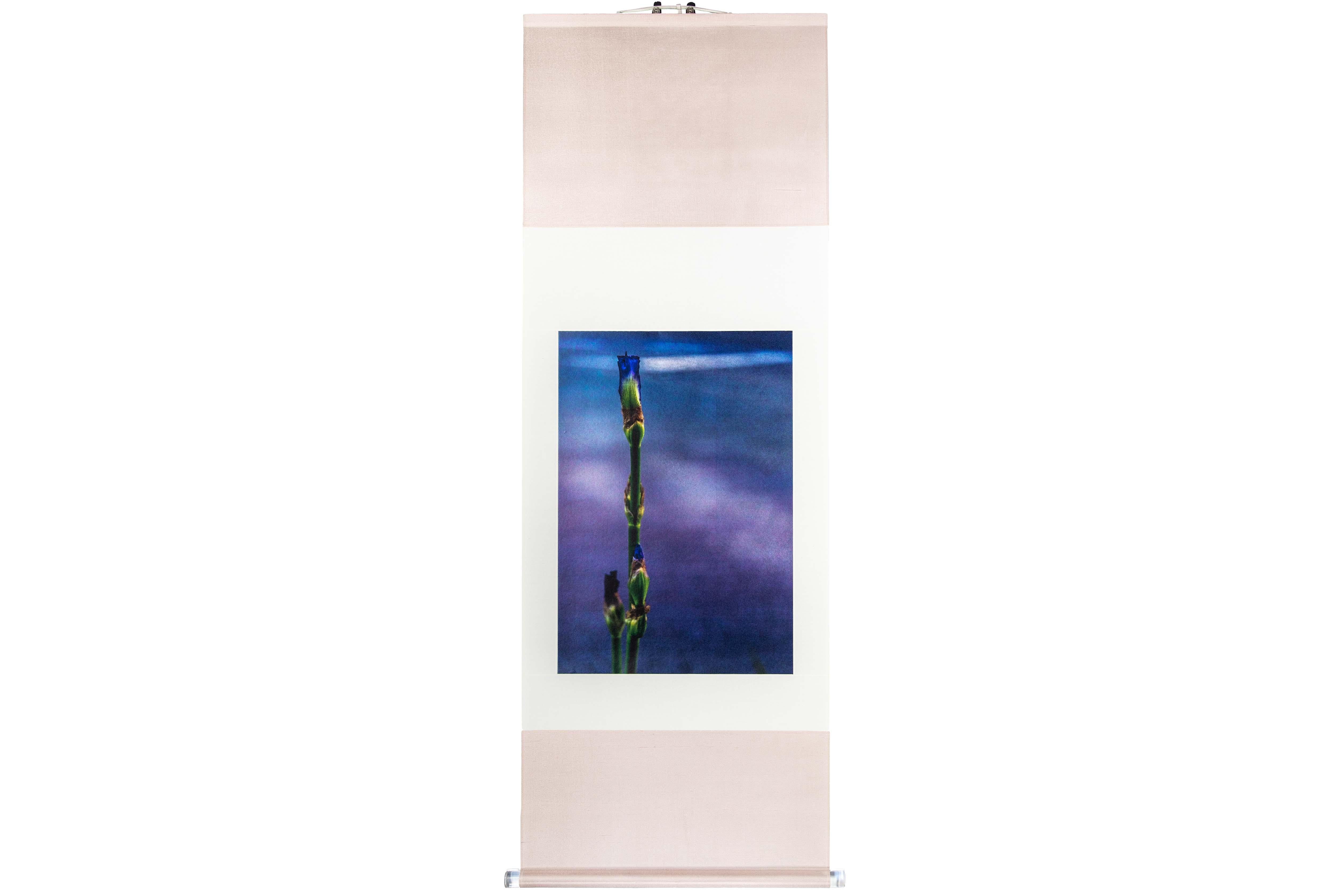 Tirage UV d'une photographie numérique sur feuille d'argent sur papier et monté sur rouleau de soie japonais

Kojun est un artiste autodidacte américain multimédia né en 1977 et basé à Tokyo, au Japon, depuis 1999. Le projet Kojun, lancé en 2010,