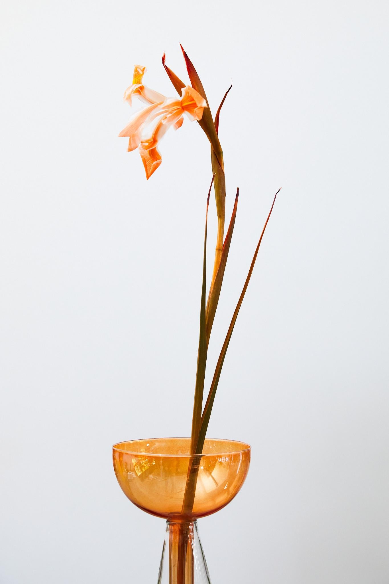 Koke’ Vase by Laboratorio For Sale 1