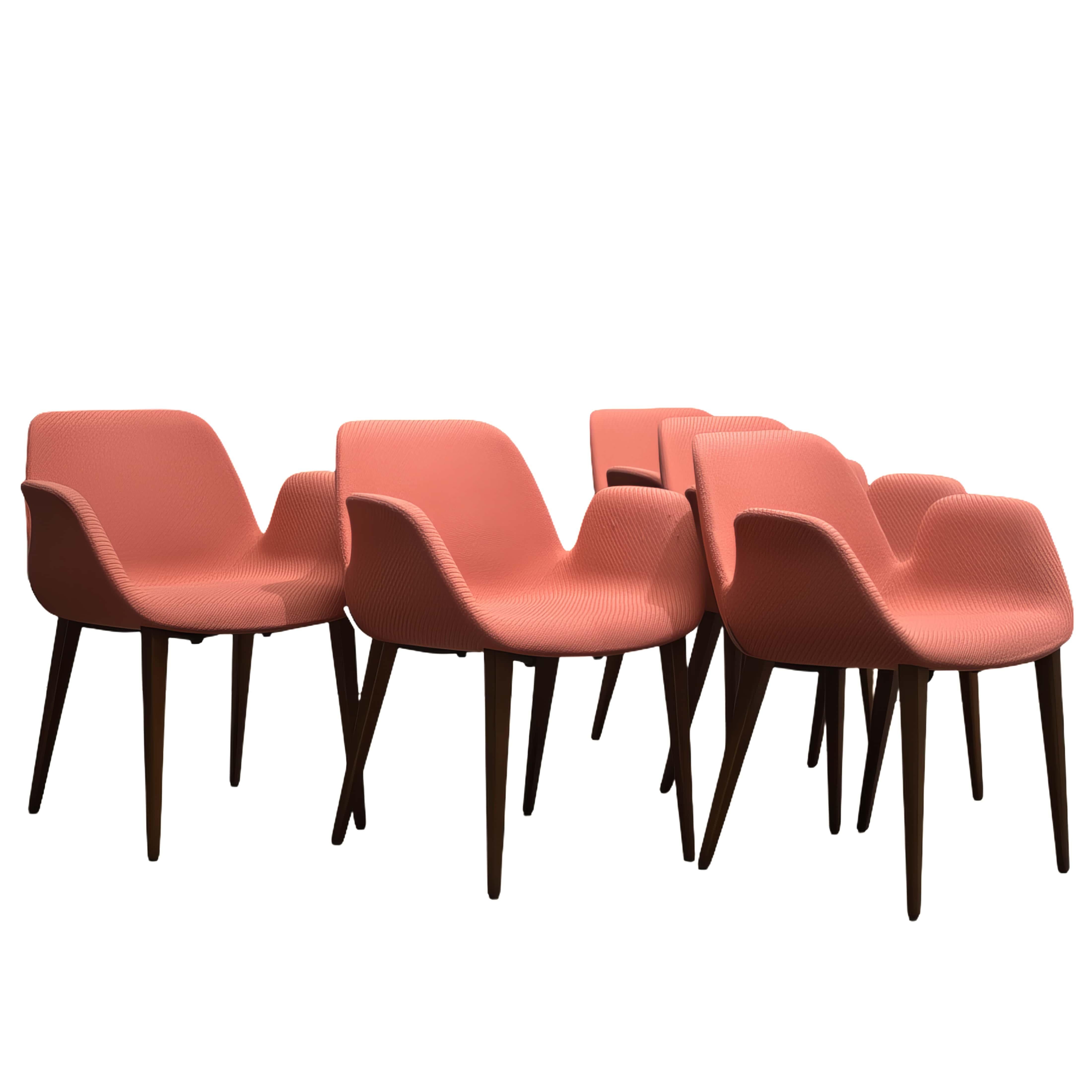 Koleksiyon Halia Shell Chair 3