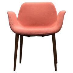 Koleksiyon Halia Shell Chair