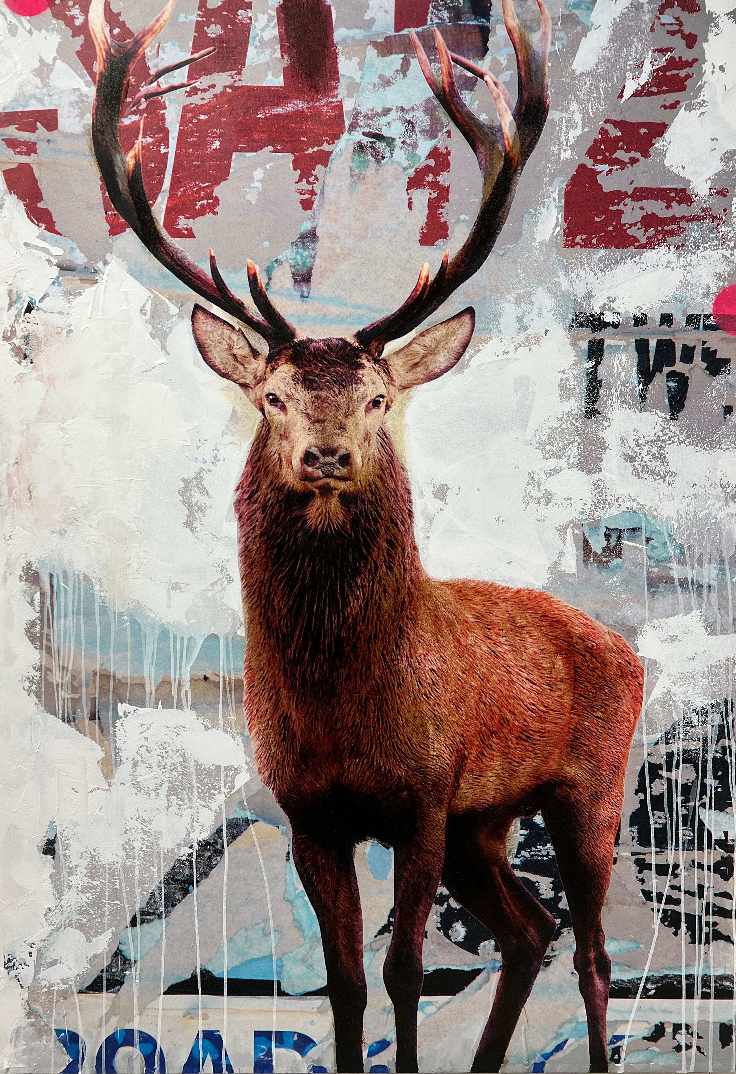 KOLLABS Animal Painting - Dexter