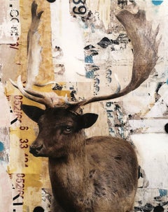 Parker II