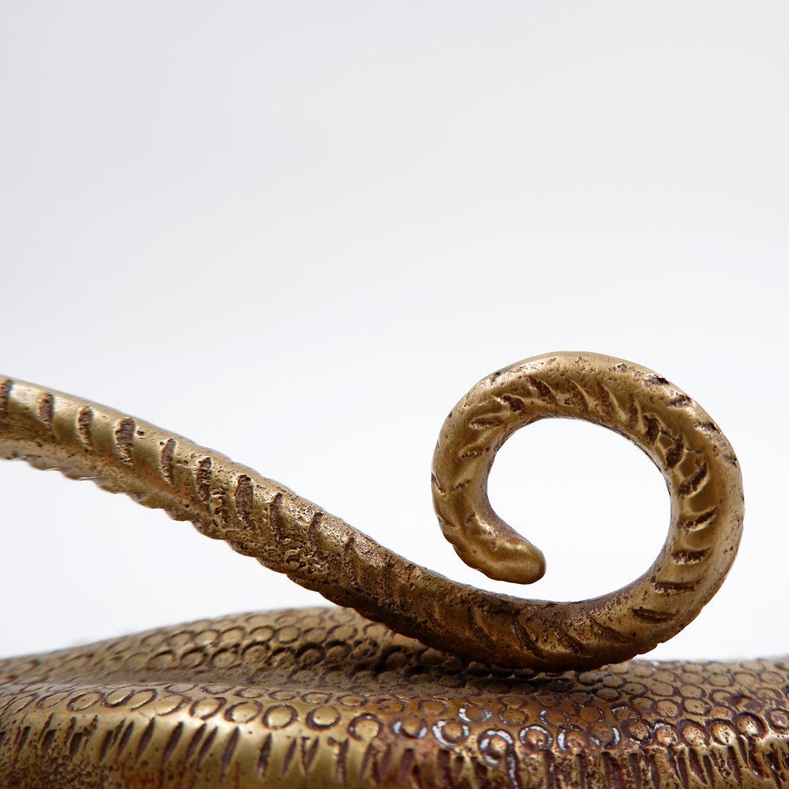 Maniglia in ottone Komodo Lizard in vendita 1