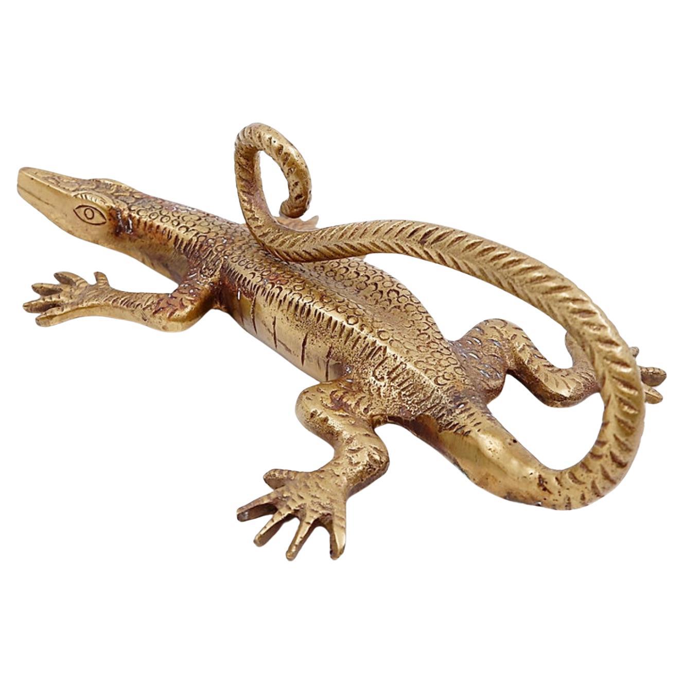 Maniglia in ottone Komodo Lizard