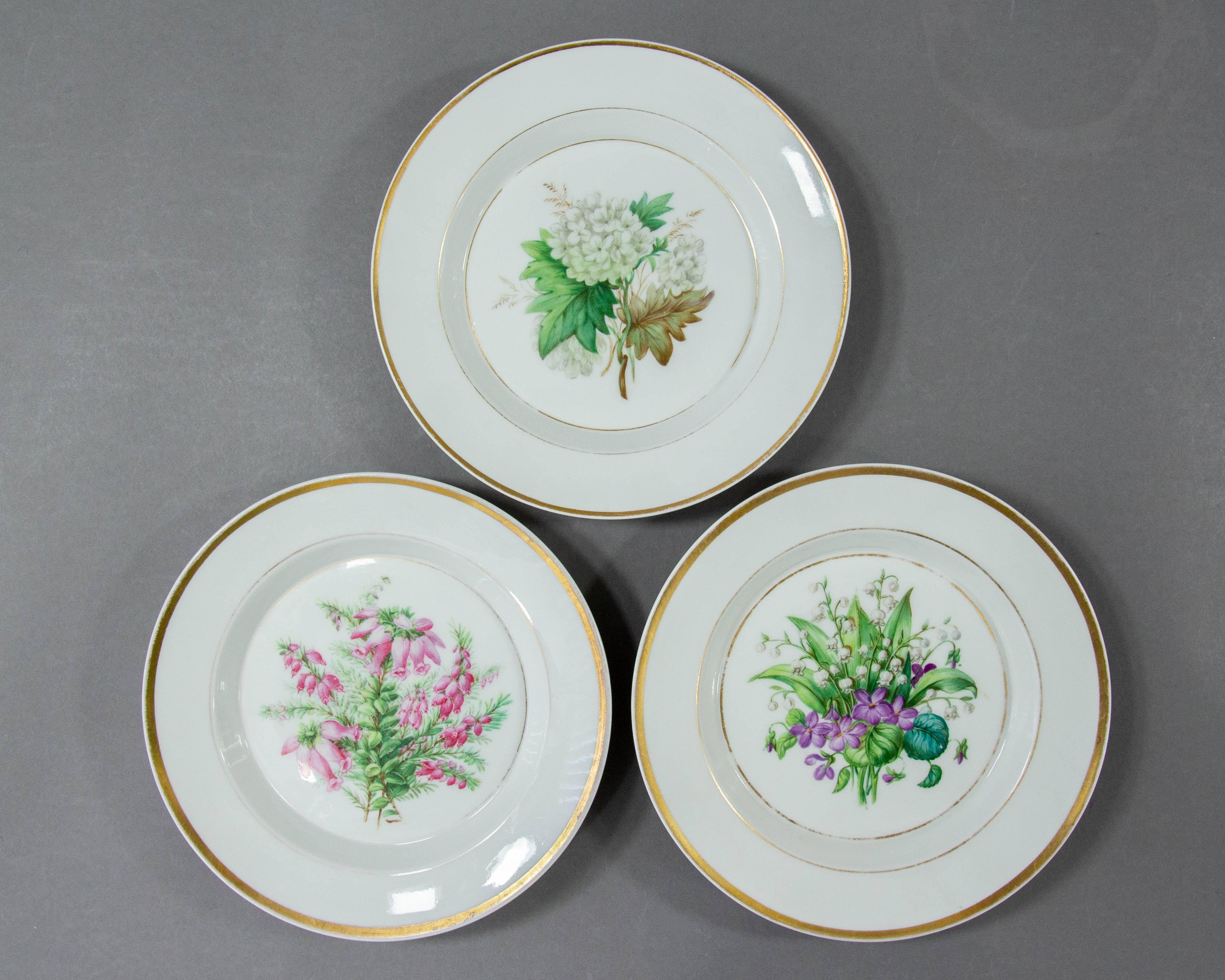 German Königliche Porzellan Manufaktur, Three 1860s Botanic Plates For Sale