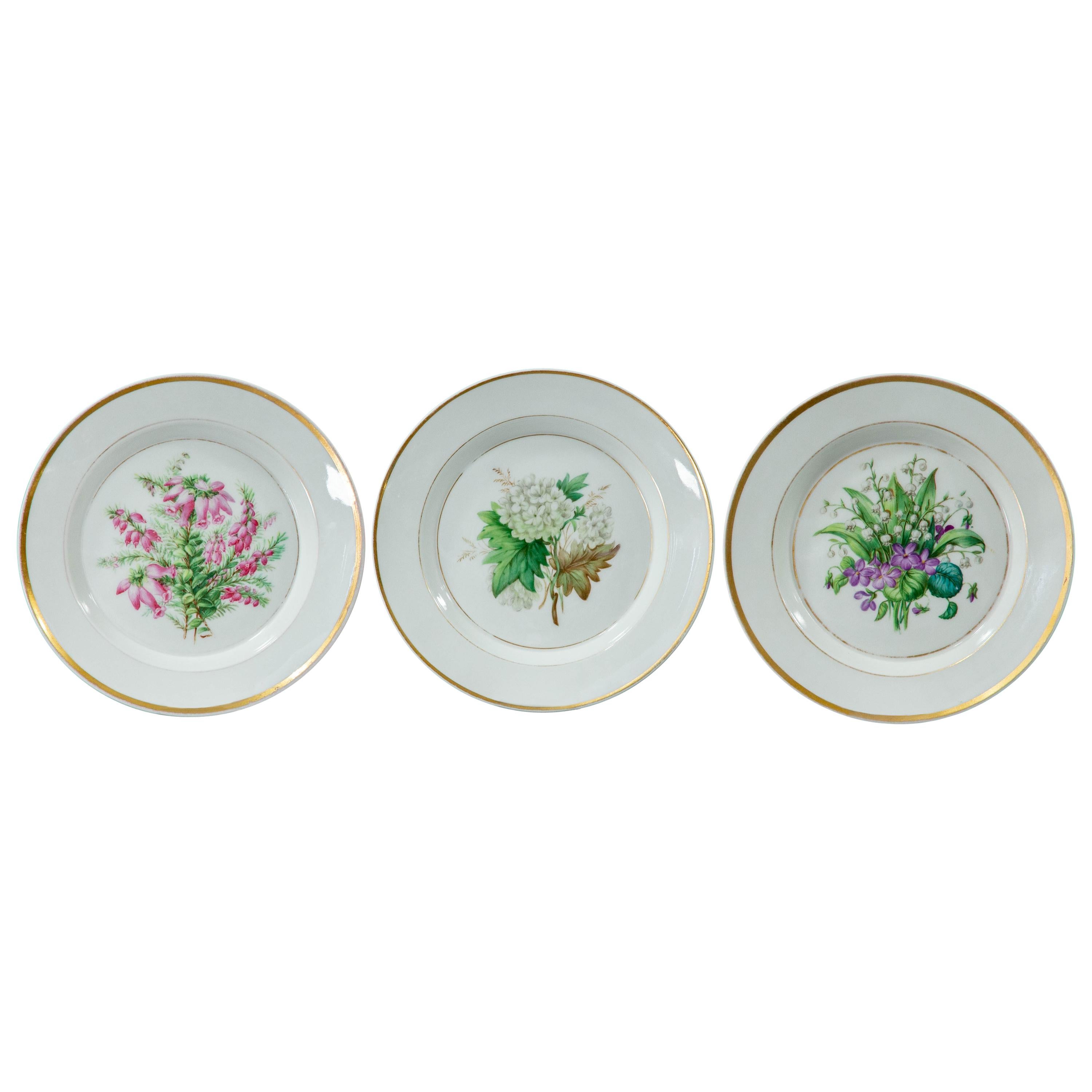 Königliche Porzellan Manufaktur, Three 1860s Botanic Plates For Sale