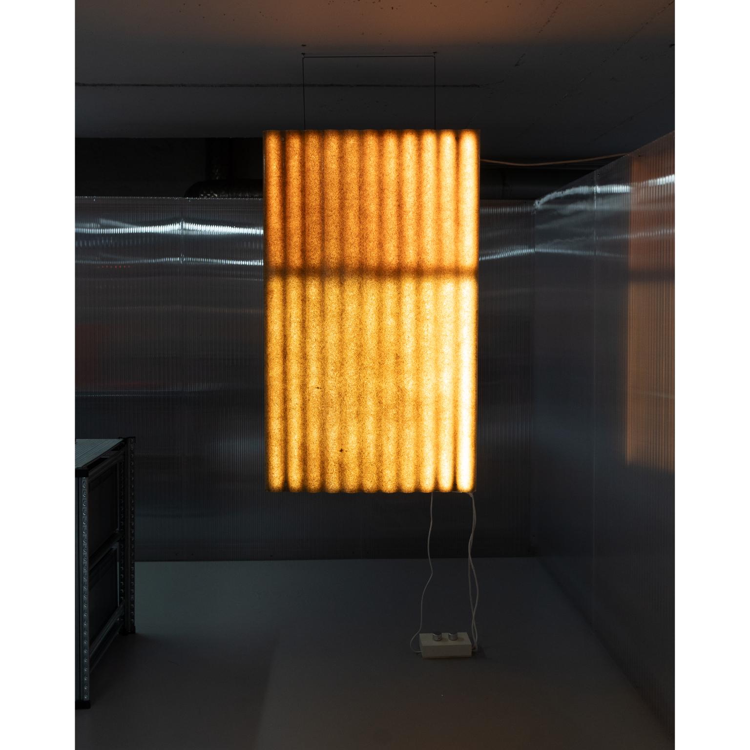 Escultura luminosa Königswinter Duo de fibra de vidrio y madera de arce by Heilig Objects en venta 7