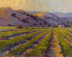 Oro della California, Pittura, Olio su tela