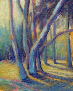 Sunlit Eucalyptus, Painting, Oil on Canvas