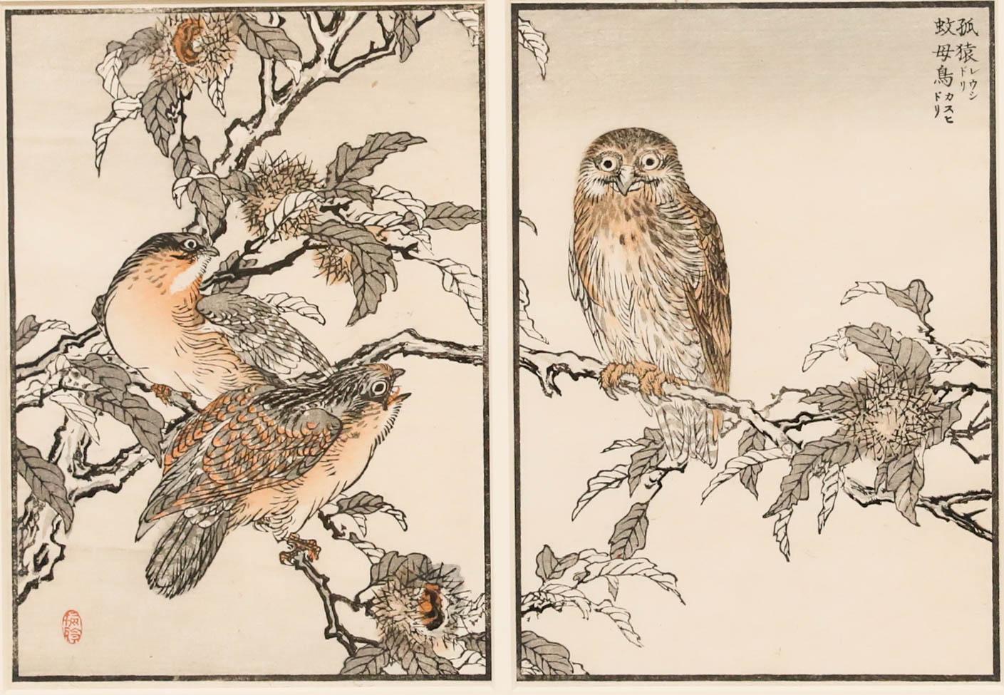 Kōno Bairei (1844-1895) - Japanischer Farbholzschnitt des späten 19. Jahrhunderts, Bairei's Eulen – Print von Kono Bairei