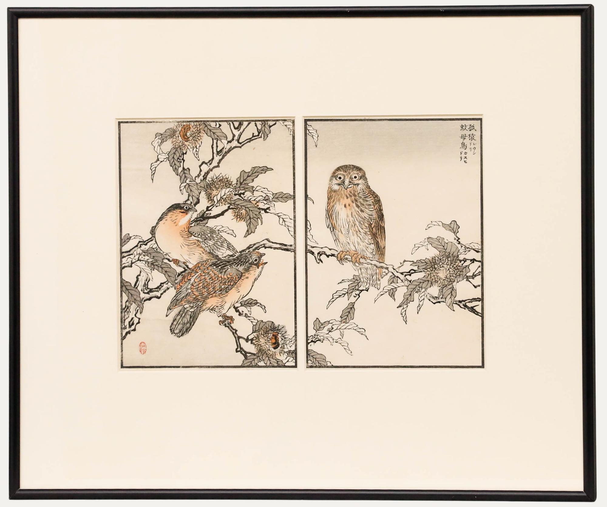 Kono Bairei Animal Print – Kōno Bairei (1844-1895) - Japanischer Farbholzschnitt des späten 19. Jahrhunderts, Bairei's Eulen