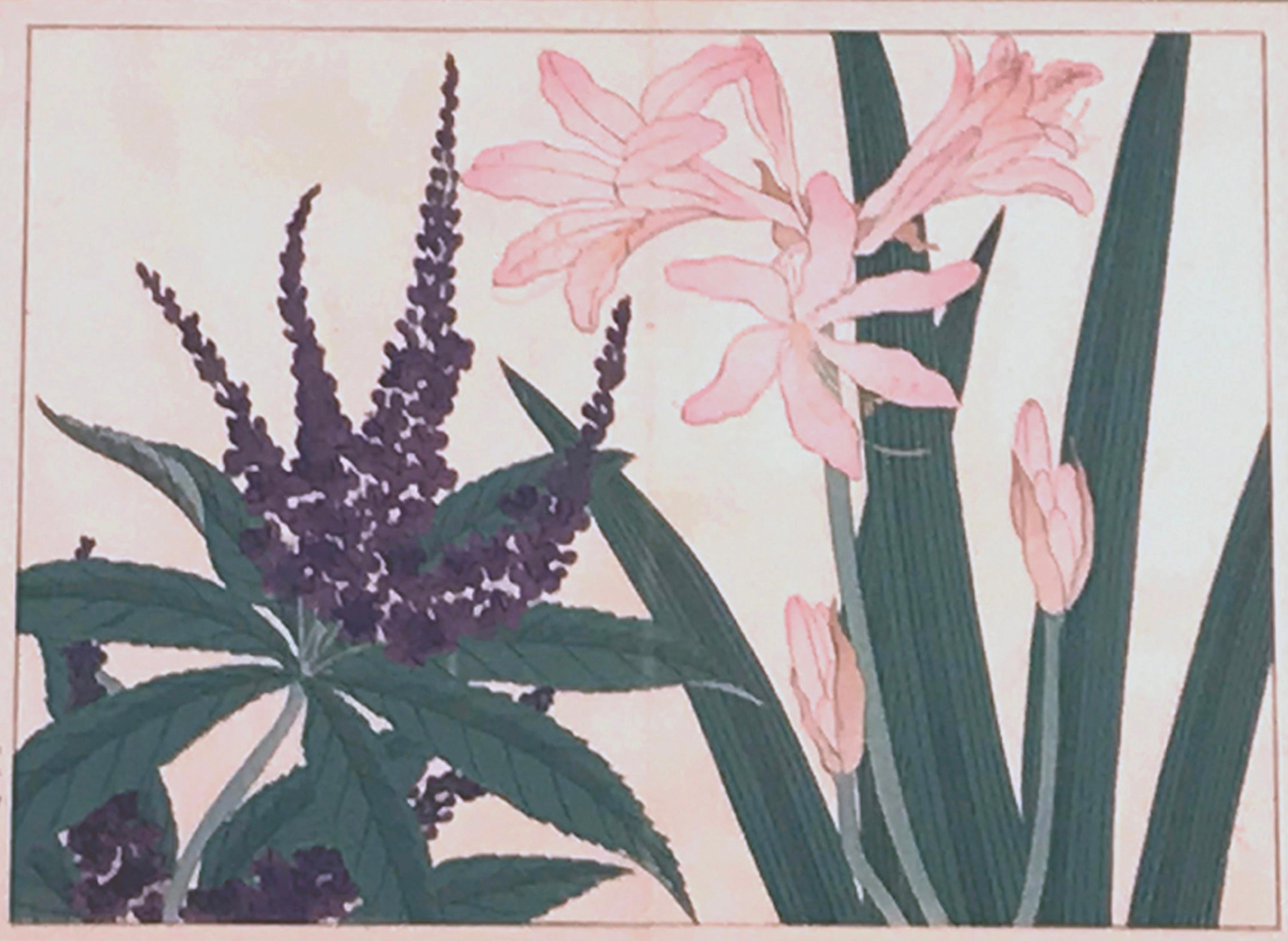 Rosa Sativa-Lilie – Print von Kono Bairei