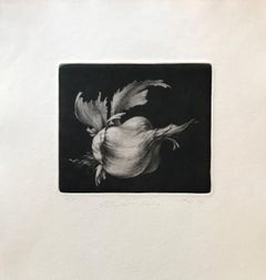 Vol de l'éléphant Ail