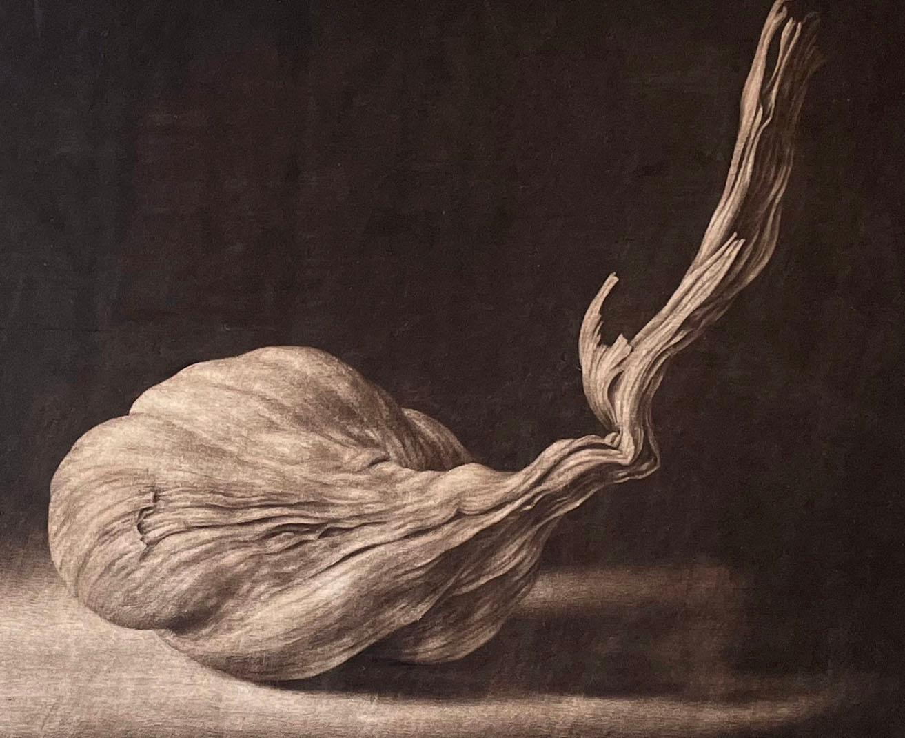 Millenium Garlic, by Konstantin Chmutin For Sale 5