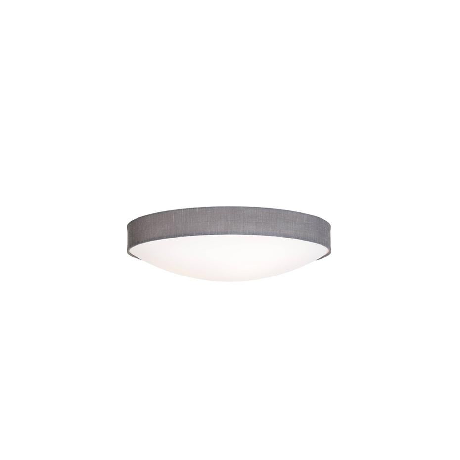 Scandinavian Modern Konsthantverk Kant Grey D55 Ceiling Lamp For Sale