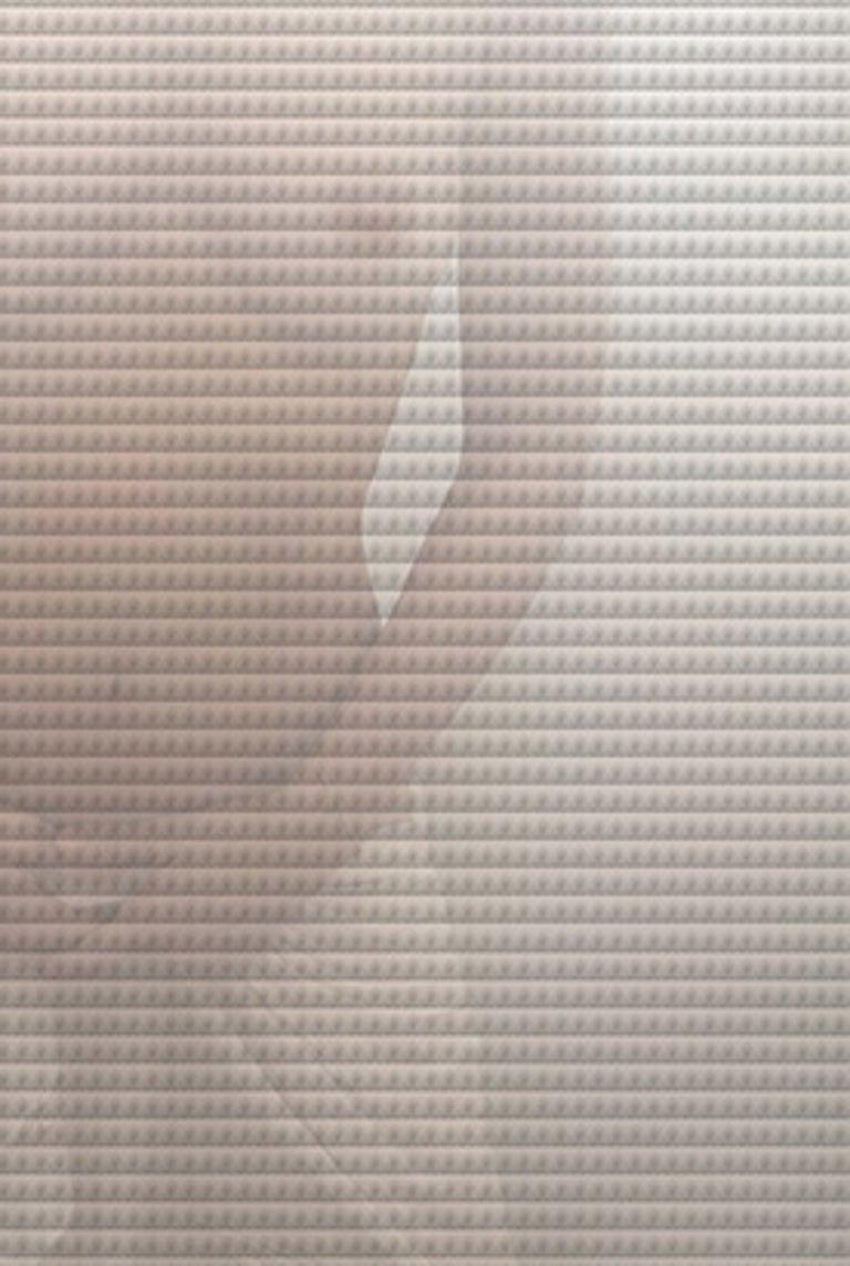 TooLess 4420 et 5700.  Photographies de nus en couleur montées sur plexiglas de musée  en vente 6
