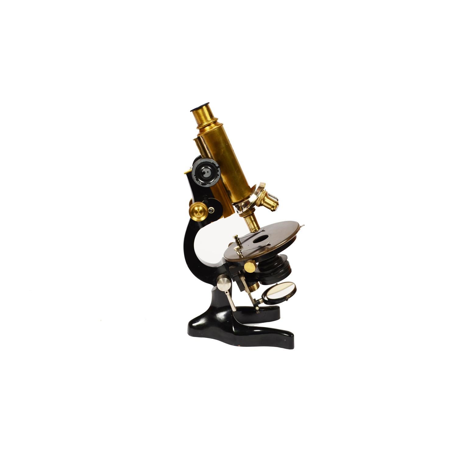 20th Century Koristka Milan Microscope Made of Black Painted Brass, Early 1900s