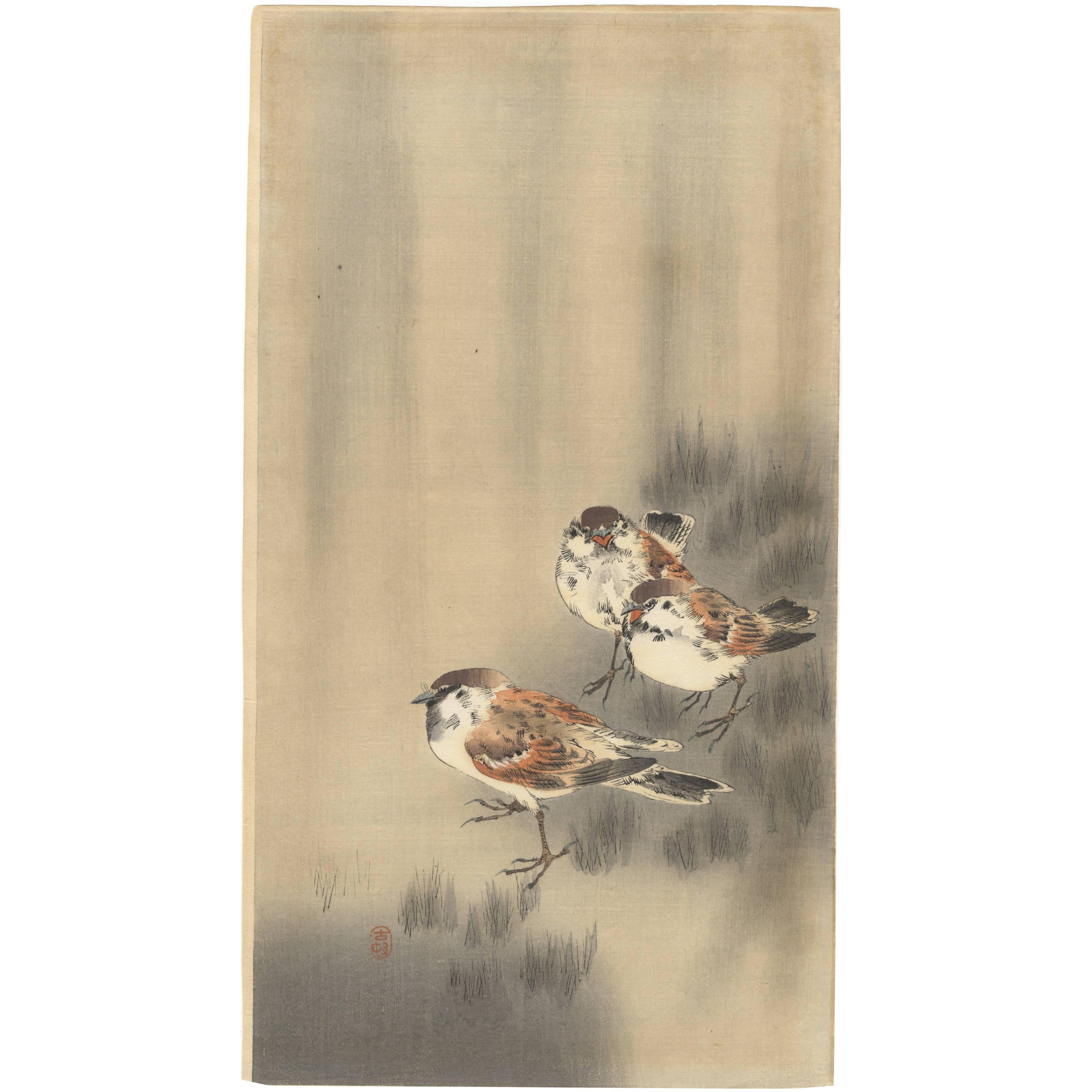 Koson Ohara, Sparrows, Rain, Nature, Birds, Kachoga, Japanese Woodblock Print