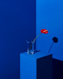 Kosta Boda Limelight Tall Vase Clear