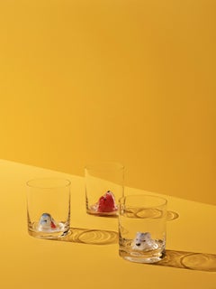 Kosta Boda New Friends Tumbler Arctic Fox