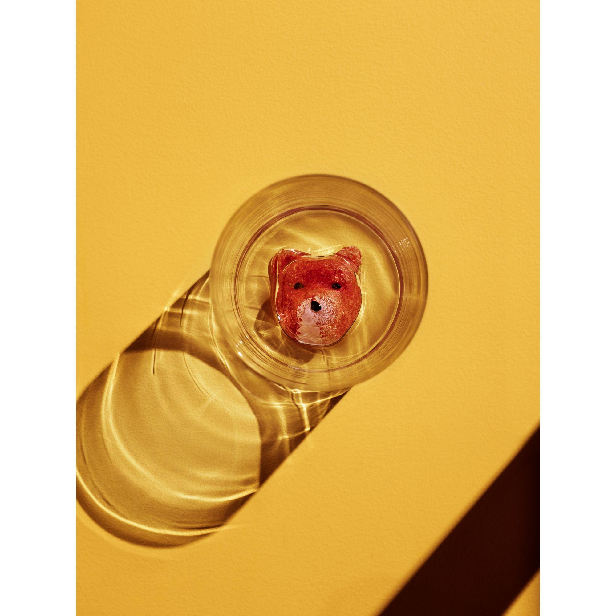 Hey stranger, do you want to be my new friend? Let’s get to know each other over a drink! New Friends glasses from Kosta Boda have small sculptures in the base that are shaped like animals. A curious little fox peeks up from this tumbler. The glass