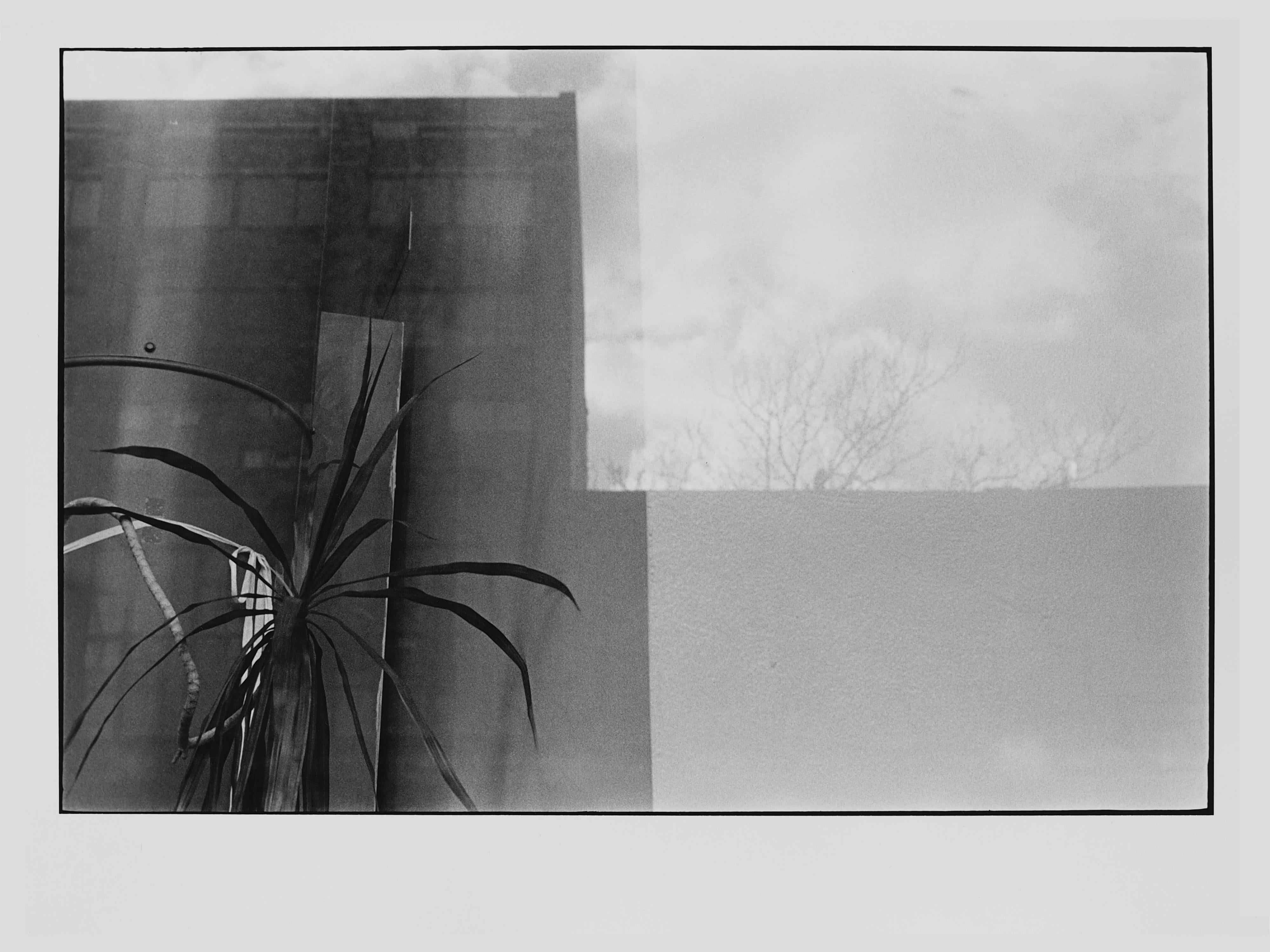 Koyo Tamaki Landscape Photograph - Untitled (0302-37), Abstract Photograph on Gelatin Print, 2011
