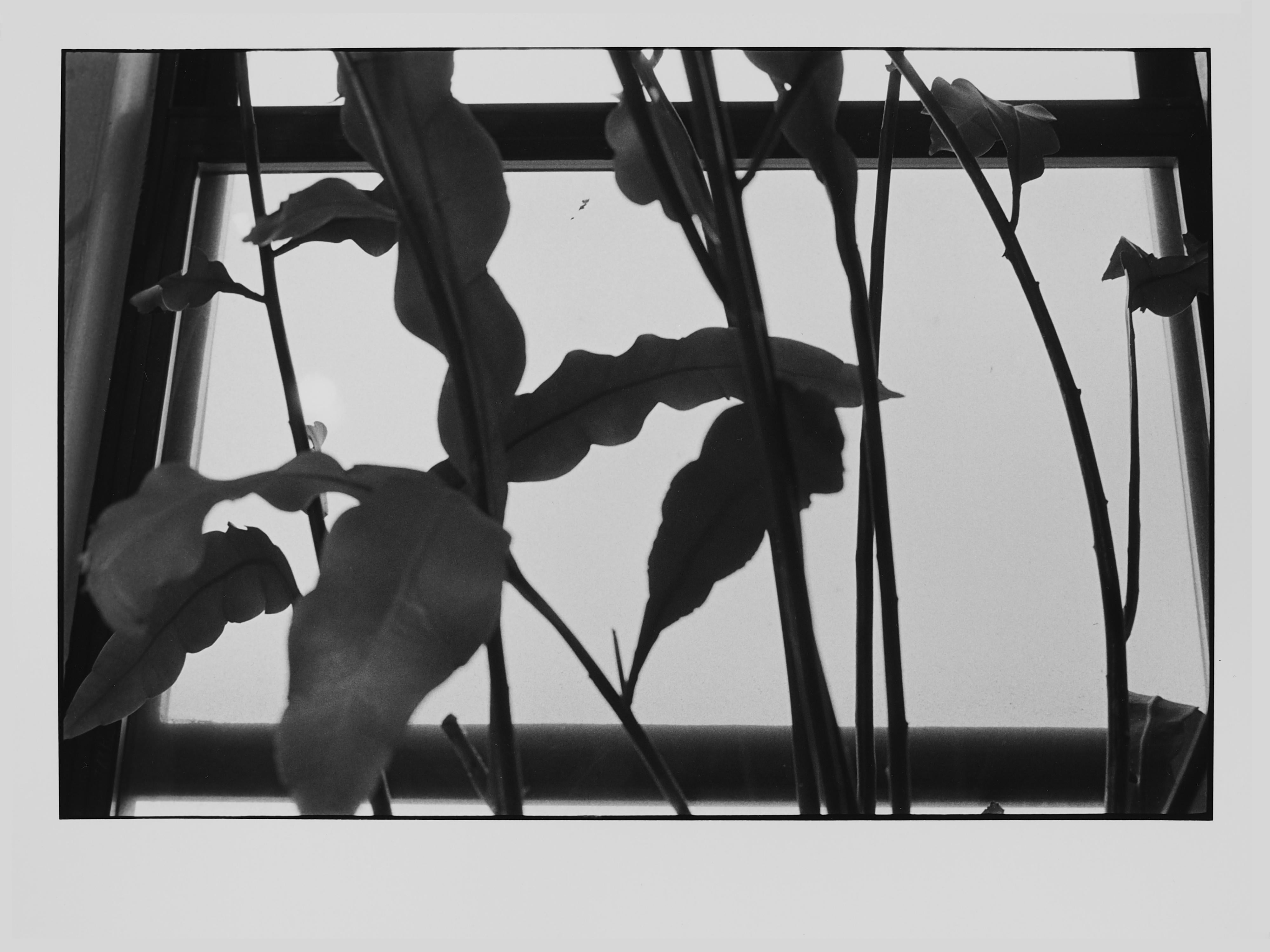 Koyo Tamaki Landscape Photograph - Untitled (0322-11), Silver Gelatin Print, 2011