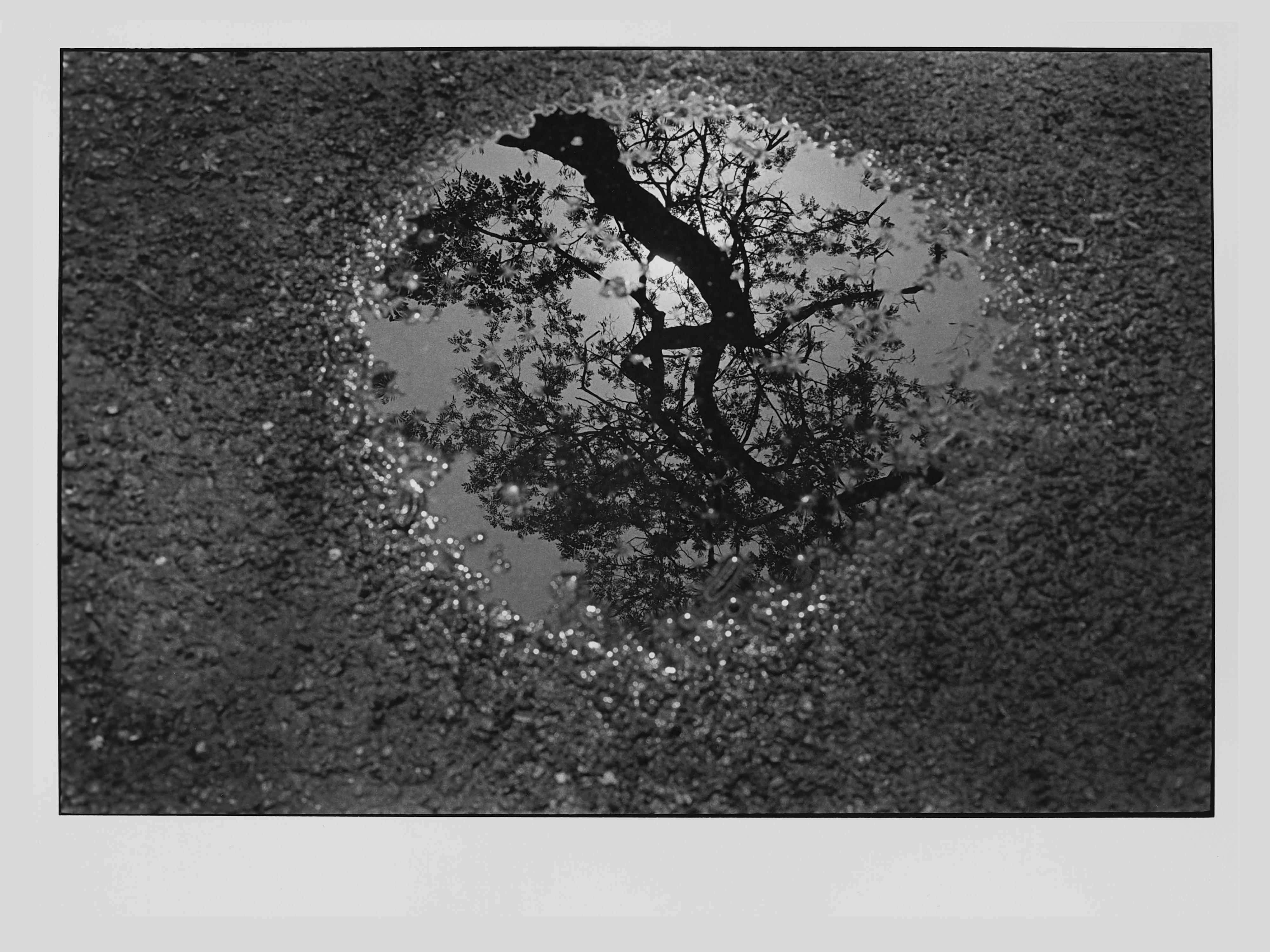Koyo Tamaki Abstract Photograph - Untitled (0412-19), Photographic Print on Silver Gelatin, 2011