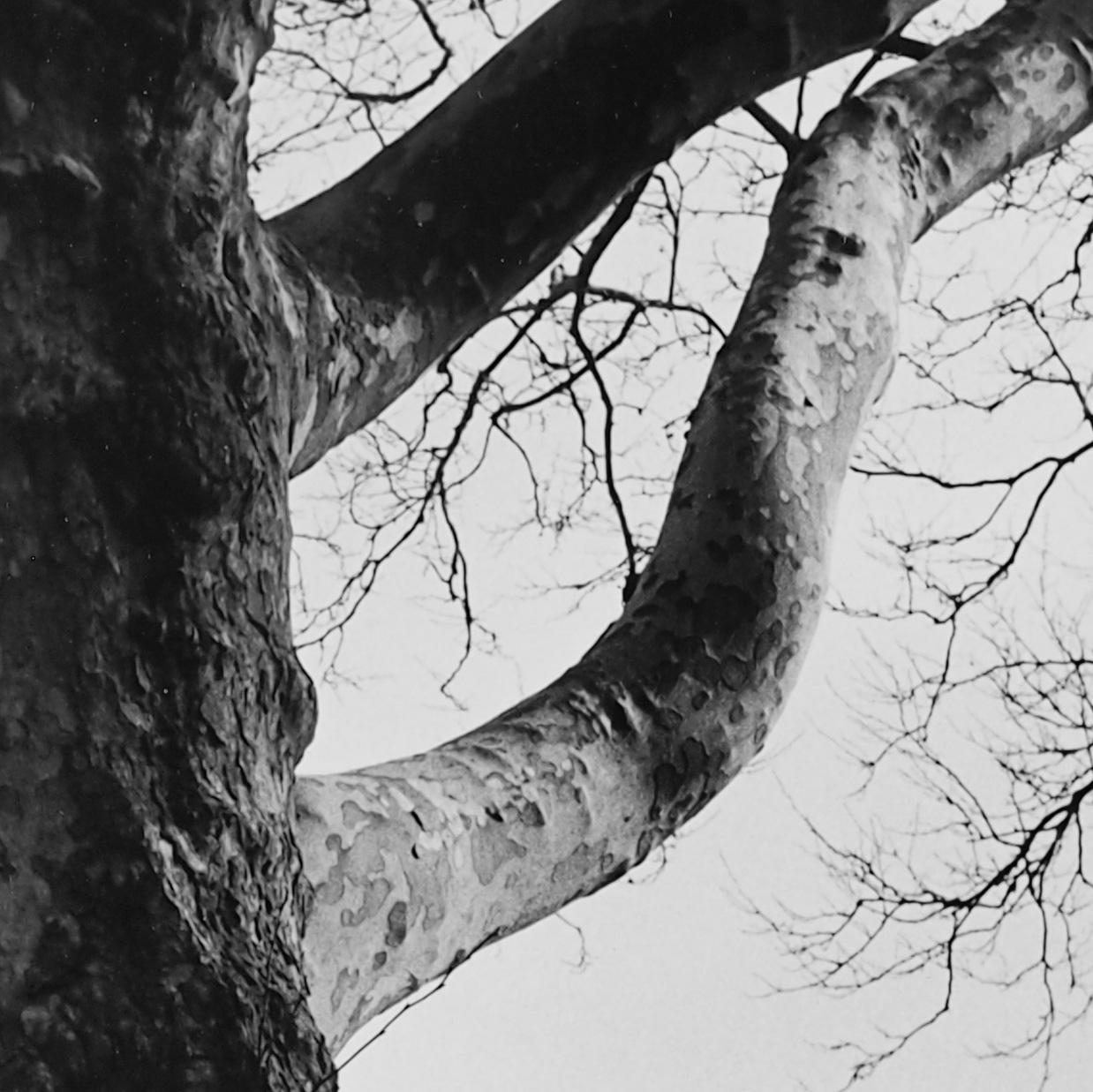 Untitled (0650-40), Original black and white photograph, 2012 - Photograph by Koyo Tamaki
