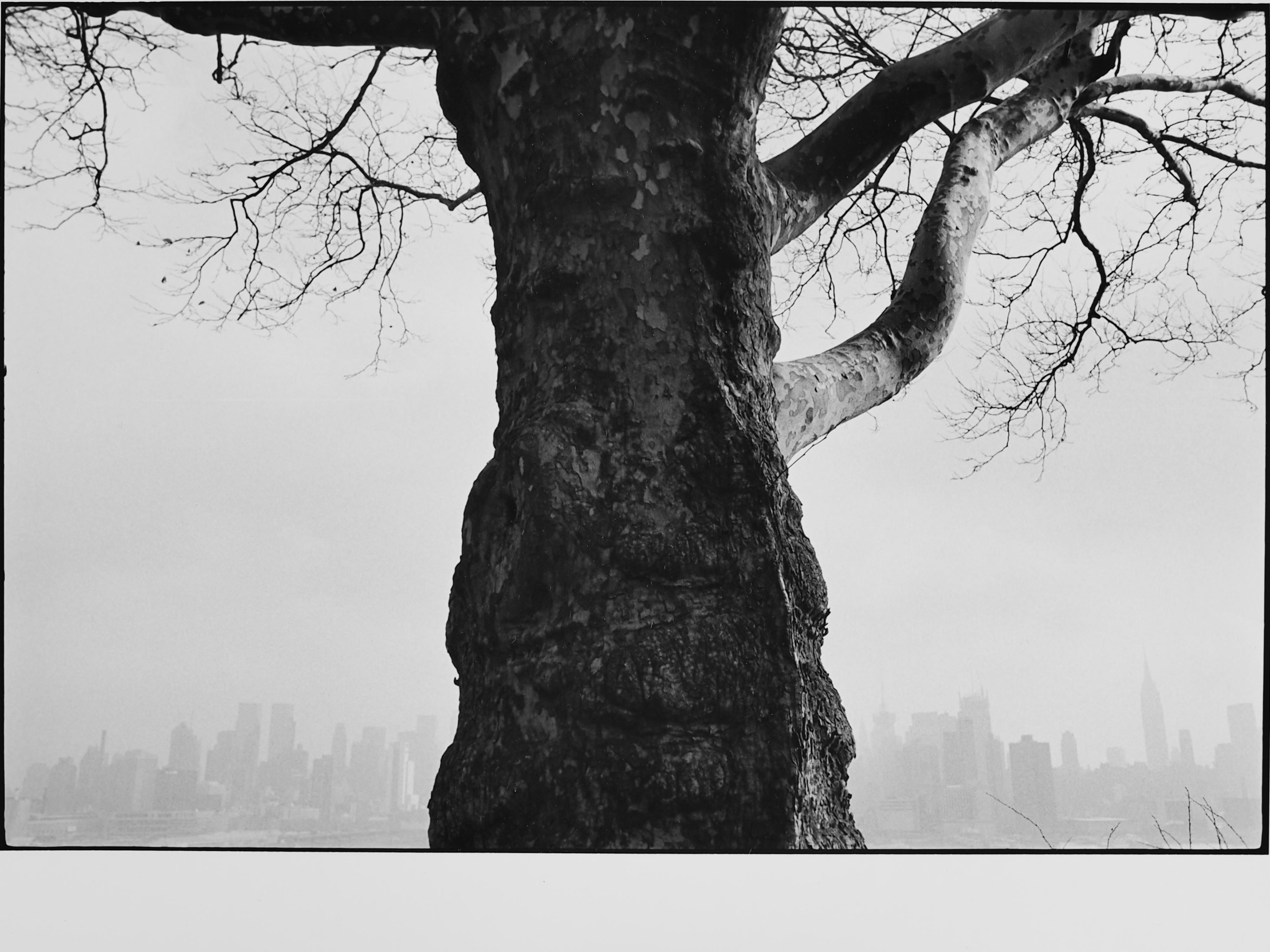 Koyo Tamaki Landscape Photograph - Untitled (0650-40), Original black and white photograph, 2012