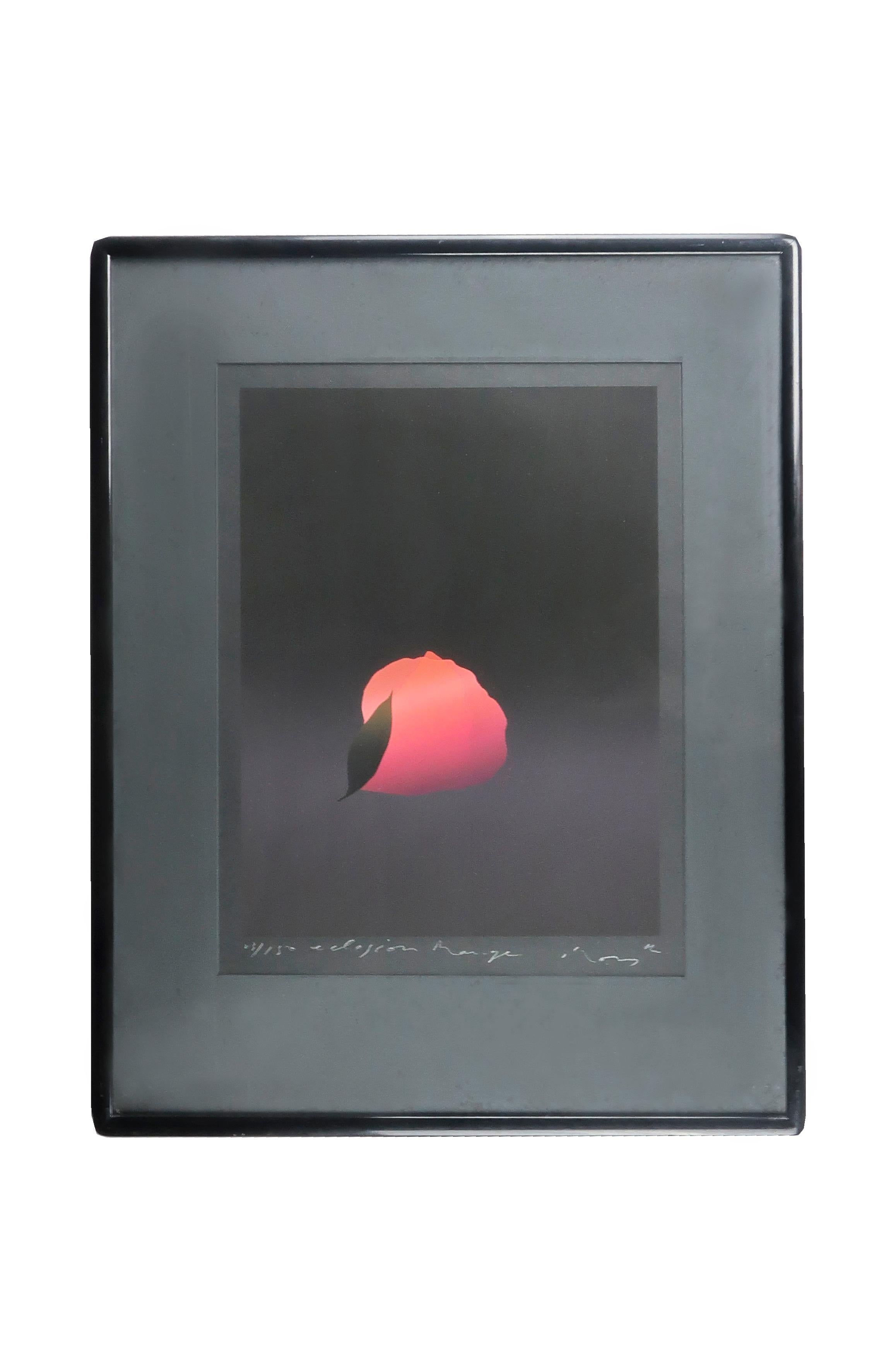 Kozo Inoue “Eclosion Rouge” Serigraph, circa 1980 In Excellent Condition In Brooklyn, NY